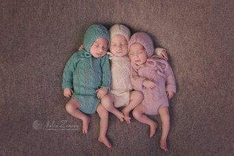 Описание изображения